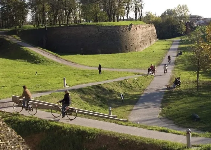 Zen Ferrara