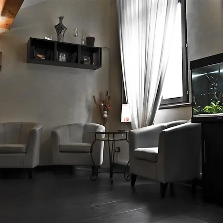 Zen Ferrara